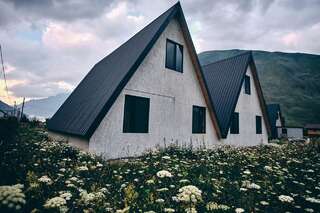 Отель Twins Achkhoti Степанцминда-6